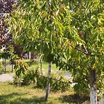 Luxury Ilidza Tatil Evi Saraybosna