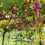 Tatil Evi Luxury Ilidza Saraybosna