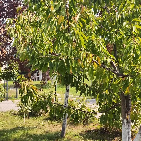 Luxury Ilidza بيت للعطل سراييفو